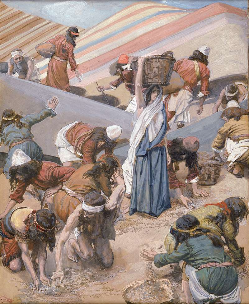 The Gathering of the Manna (watercolour circa 1896–1902 by James Tissot)