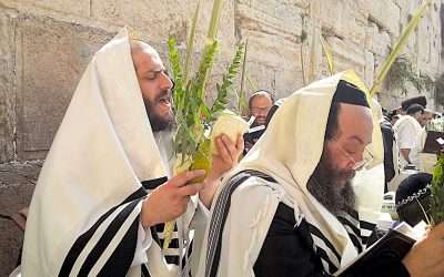 Fifth Encouragement: The Sacrifices, Lulav and Citron Speak of Sweet Lives of Compassion