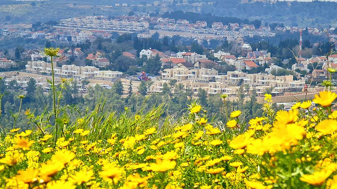 Karnei Shomron, a growing town in Samaria and home of Sondra Oster Baras, is 45 years old!